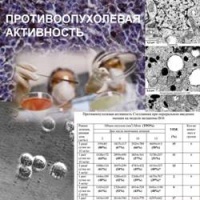 Противоопухолевая активность Стелланина
