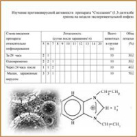 Противовирусные свойства Стелланина