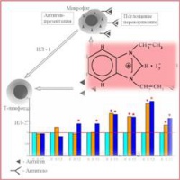 Иммуностимулирующие свойства Стелланина